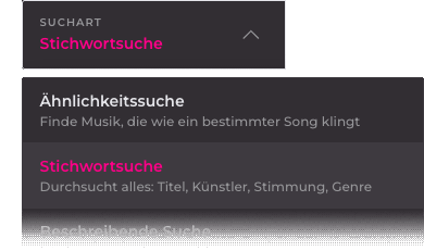 5. Standardsuche – Die klassische, flexible Suche